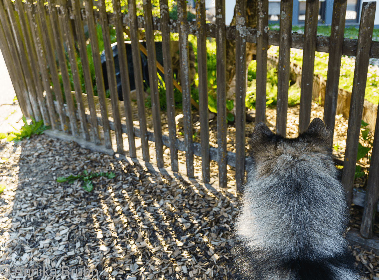 Huch, was ist den da